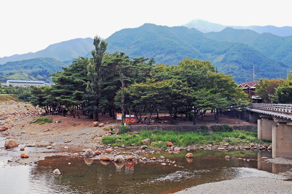대포숲캠핑장
