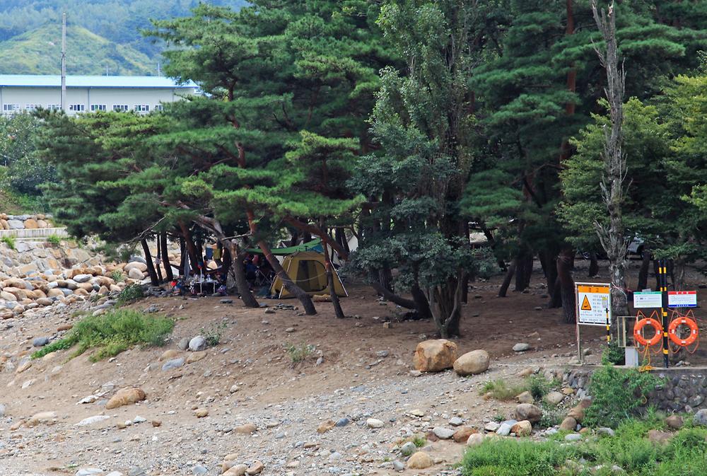 대포숲캠핑장