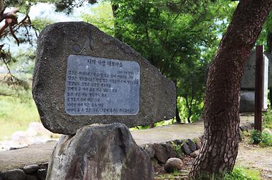 대포숲캠핑장 사진