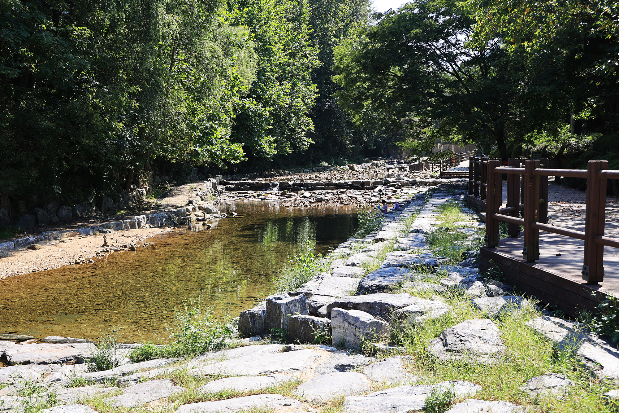 관악산 계곡 캠핑장 이미지