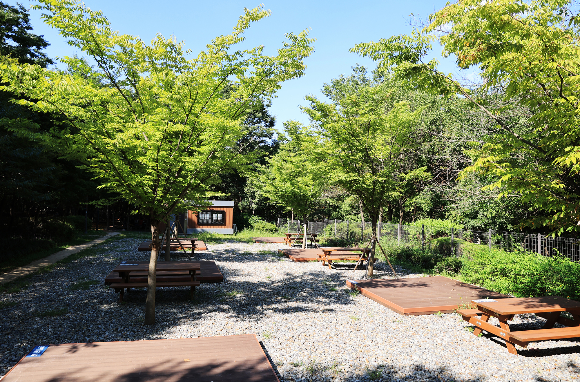 관악산 계곡 캠핑장 이미지