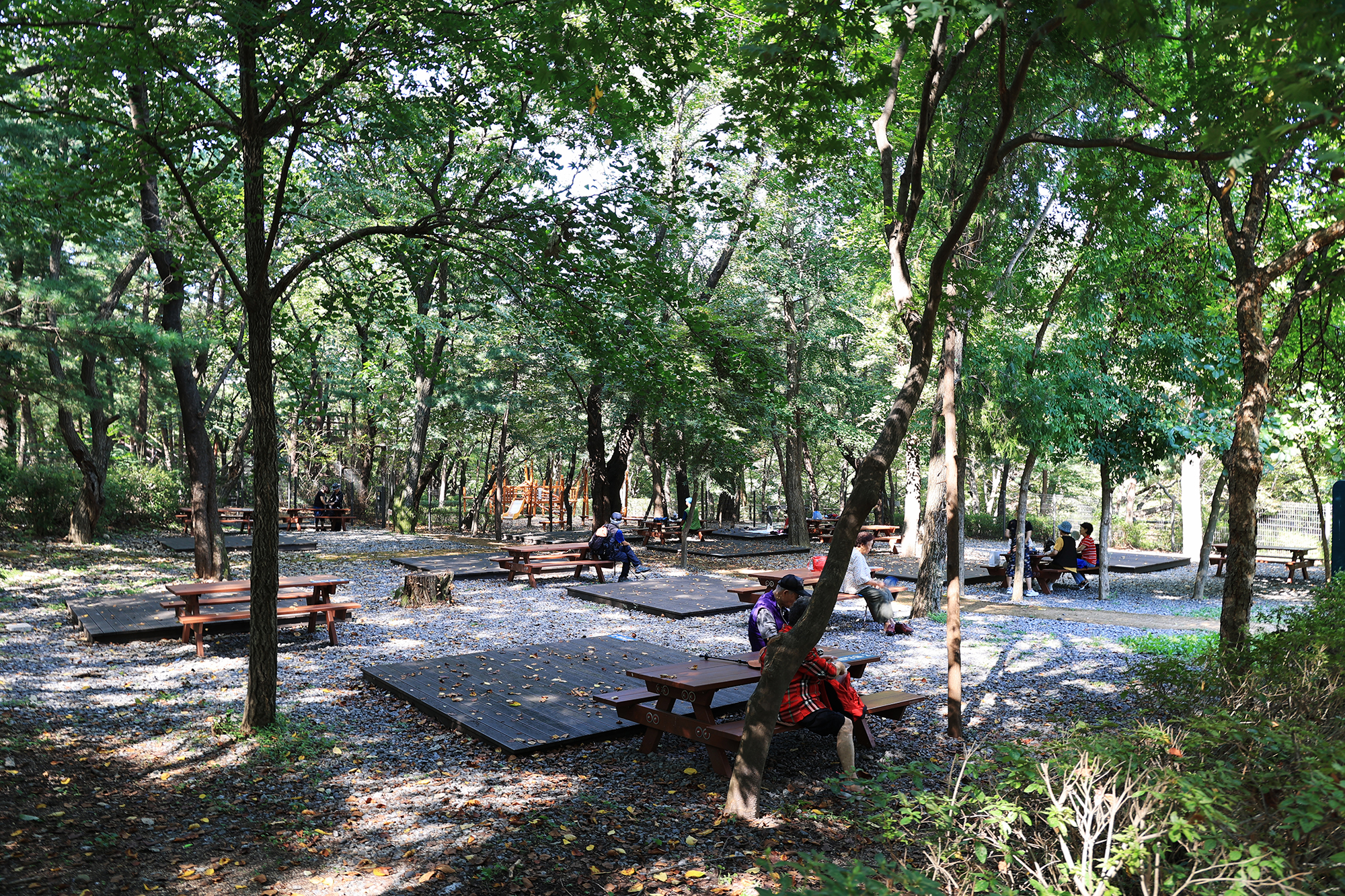 관악산 계곡 캠핑장 이미지