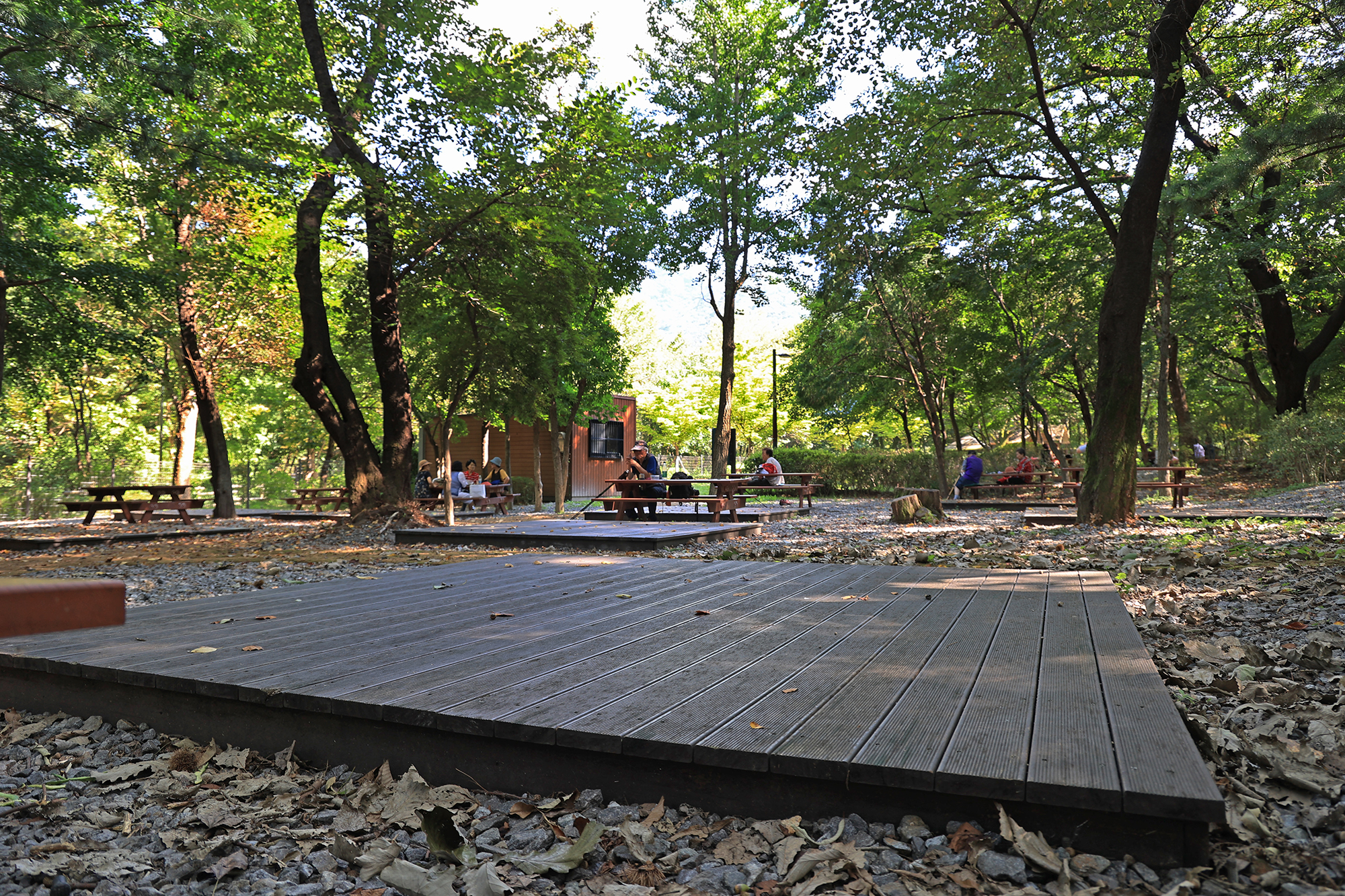 관악산 계곡 캠핑장 이미지