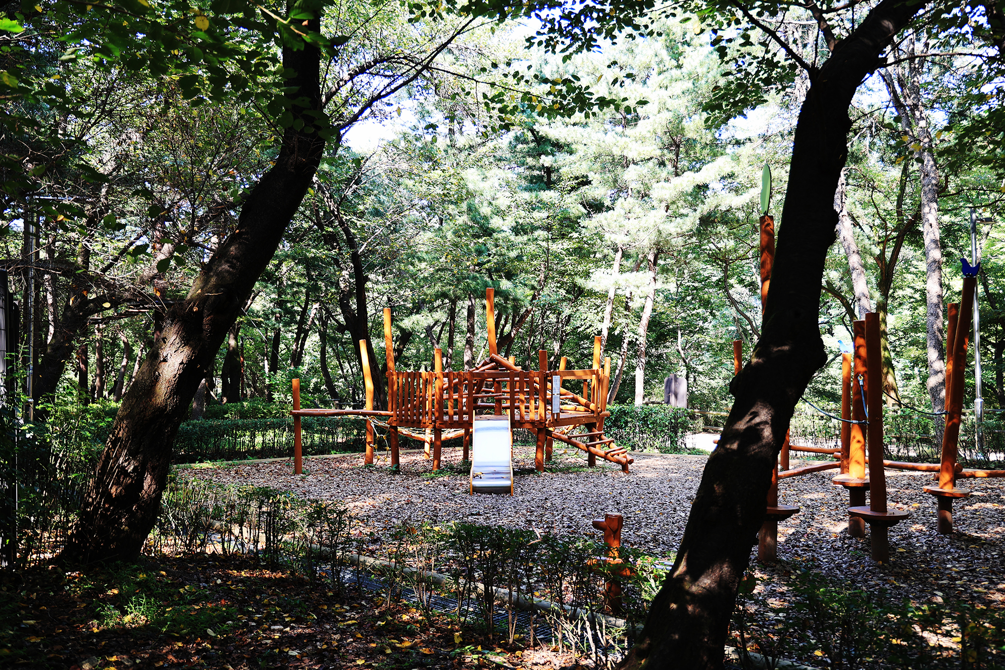 관악산 계곡 캠핑장 이미지