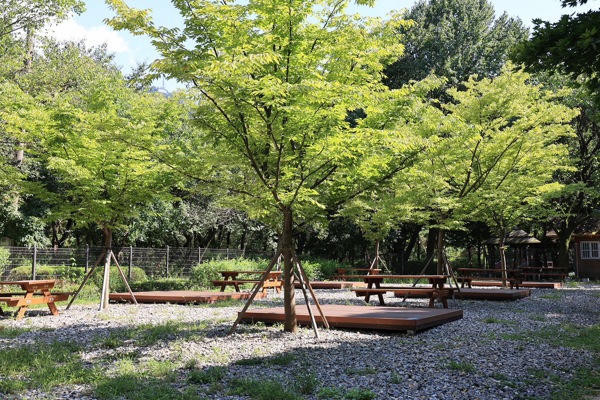 관악산 계곡 캠핑장 이미지