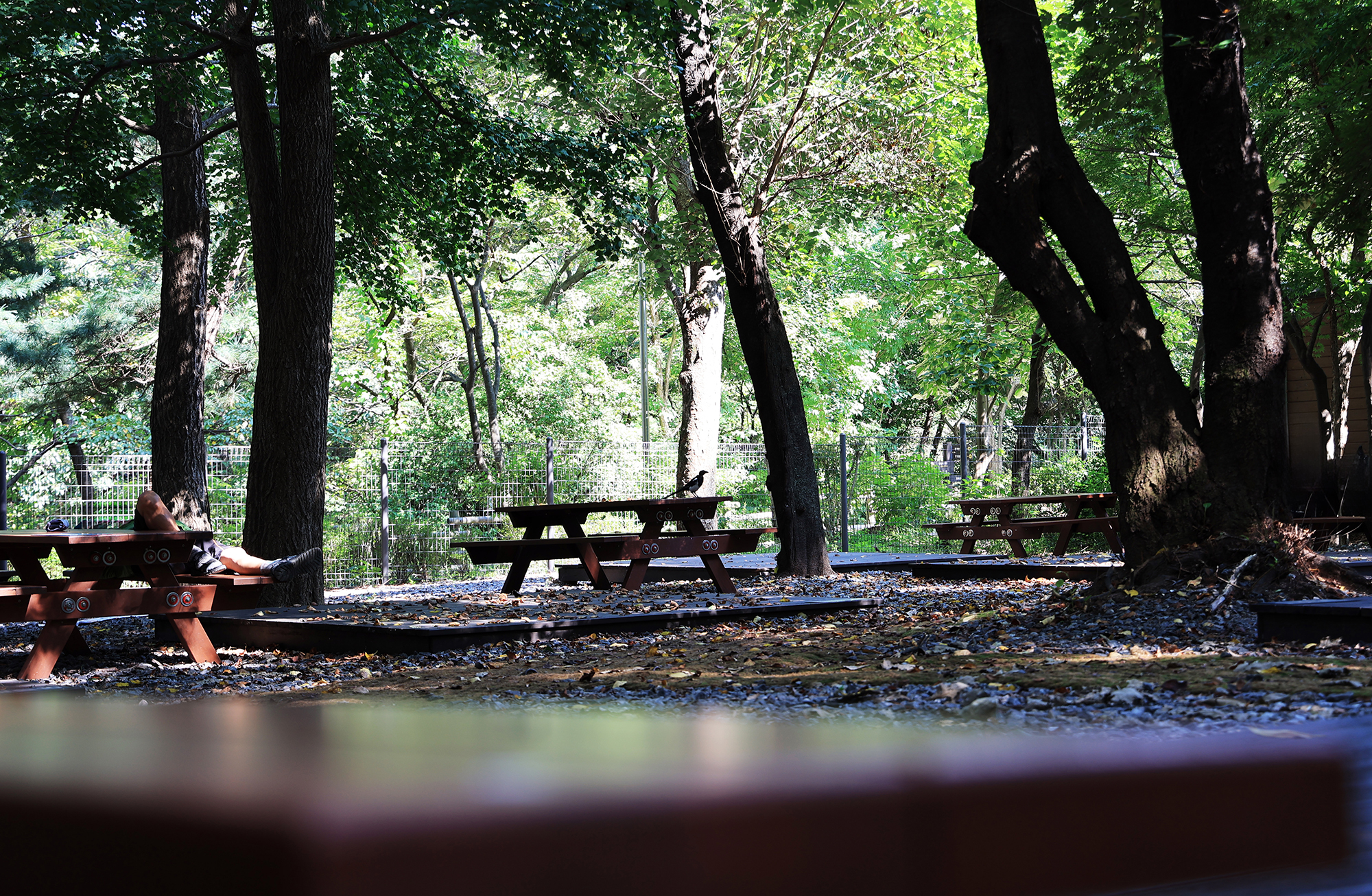 관악산 계곡 캠핑장 이미지