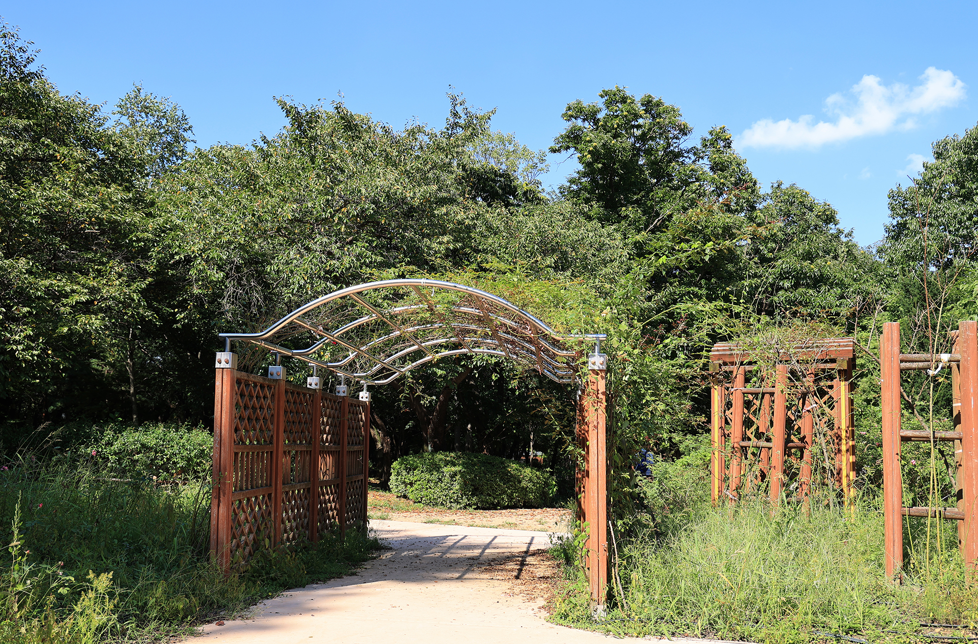 관악산 계곡 캠핑장 이미지