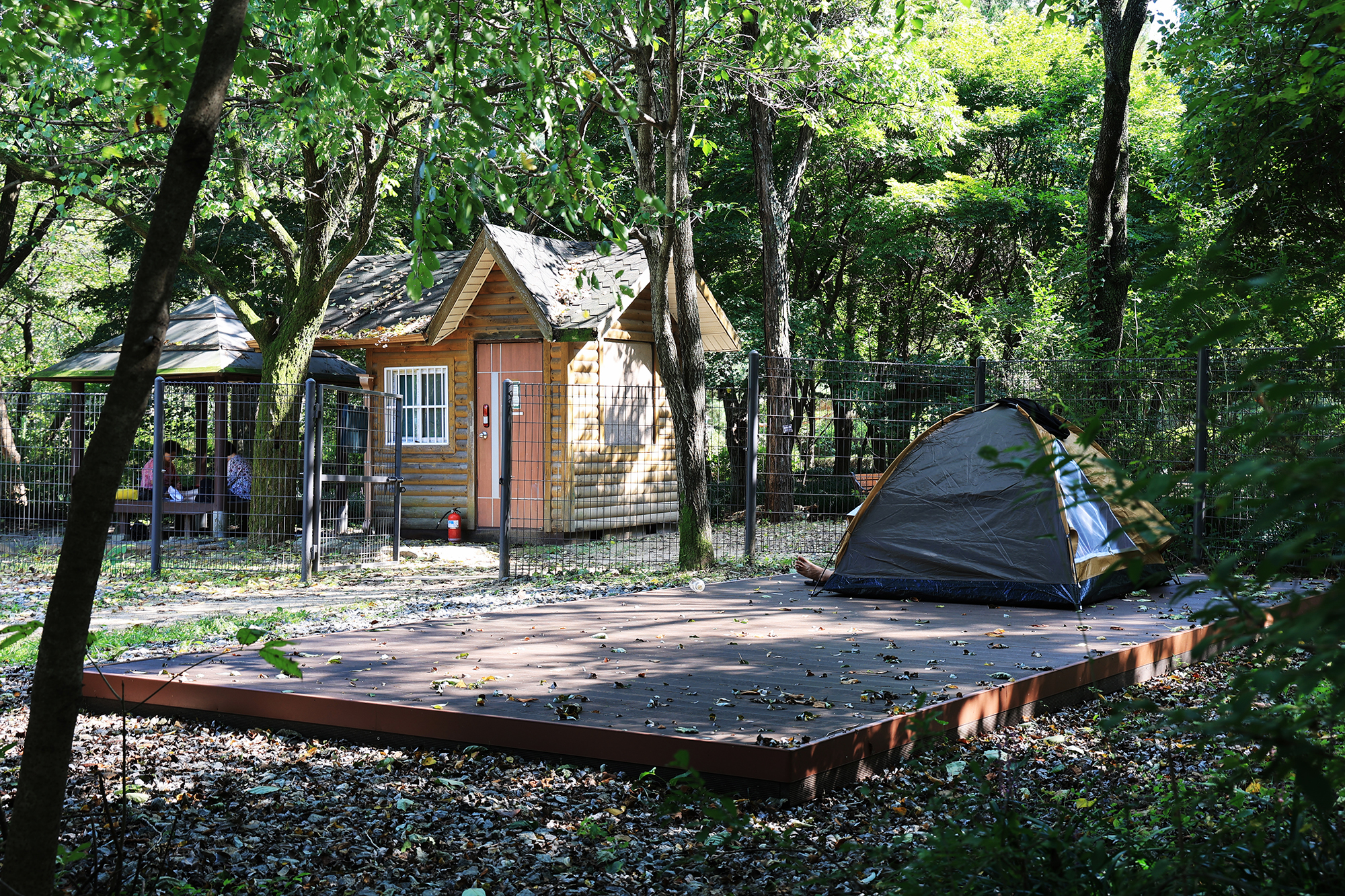 관악산 계곡 캠핑장 이미지
