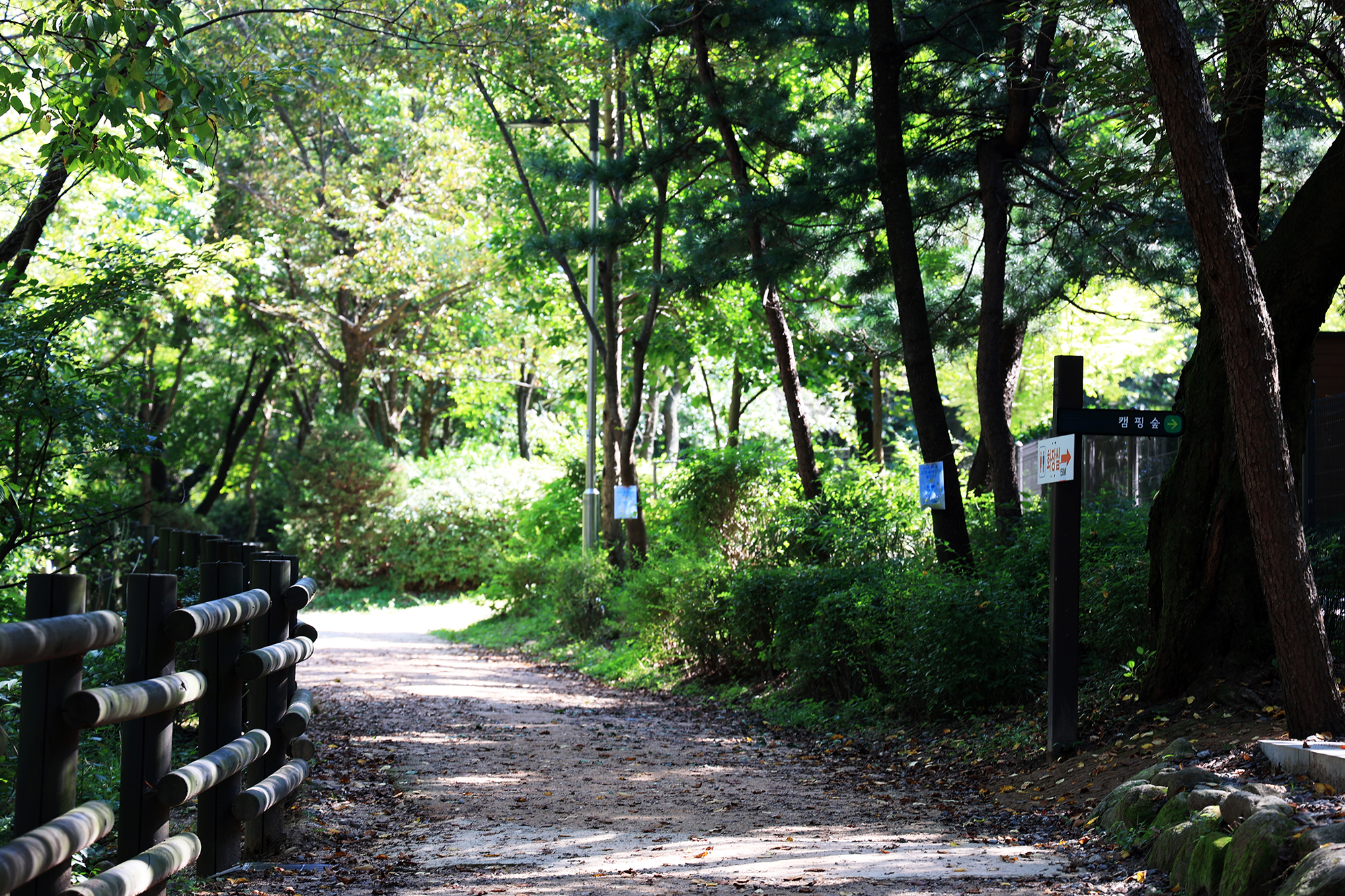 관악산 계곡 캠핑장 6