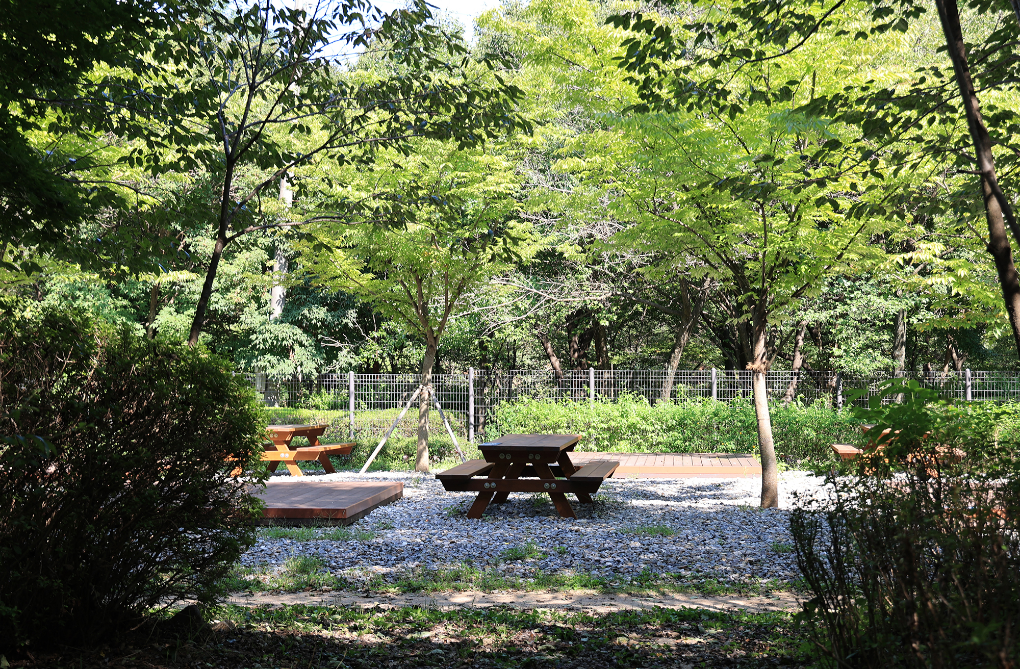 관악산 계곡 캠핑장 이미지