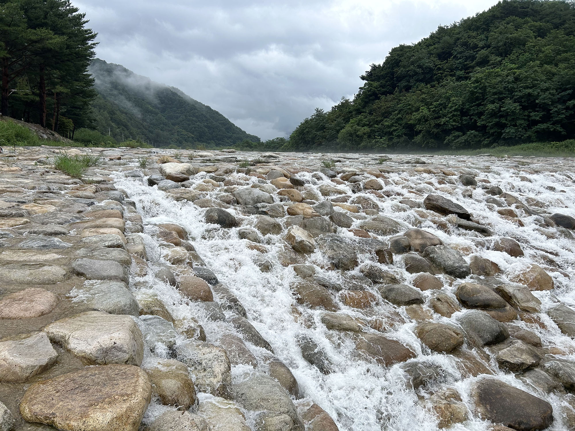 한계2리 솔밭야영장 13번째 이미지