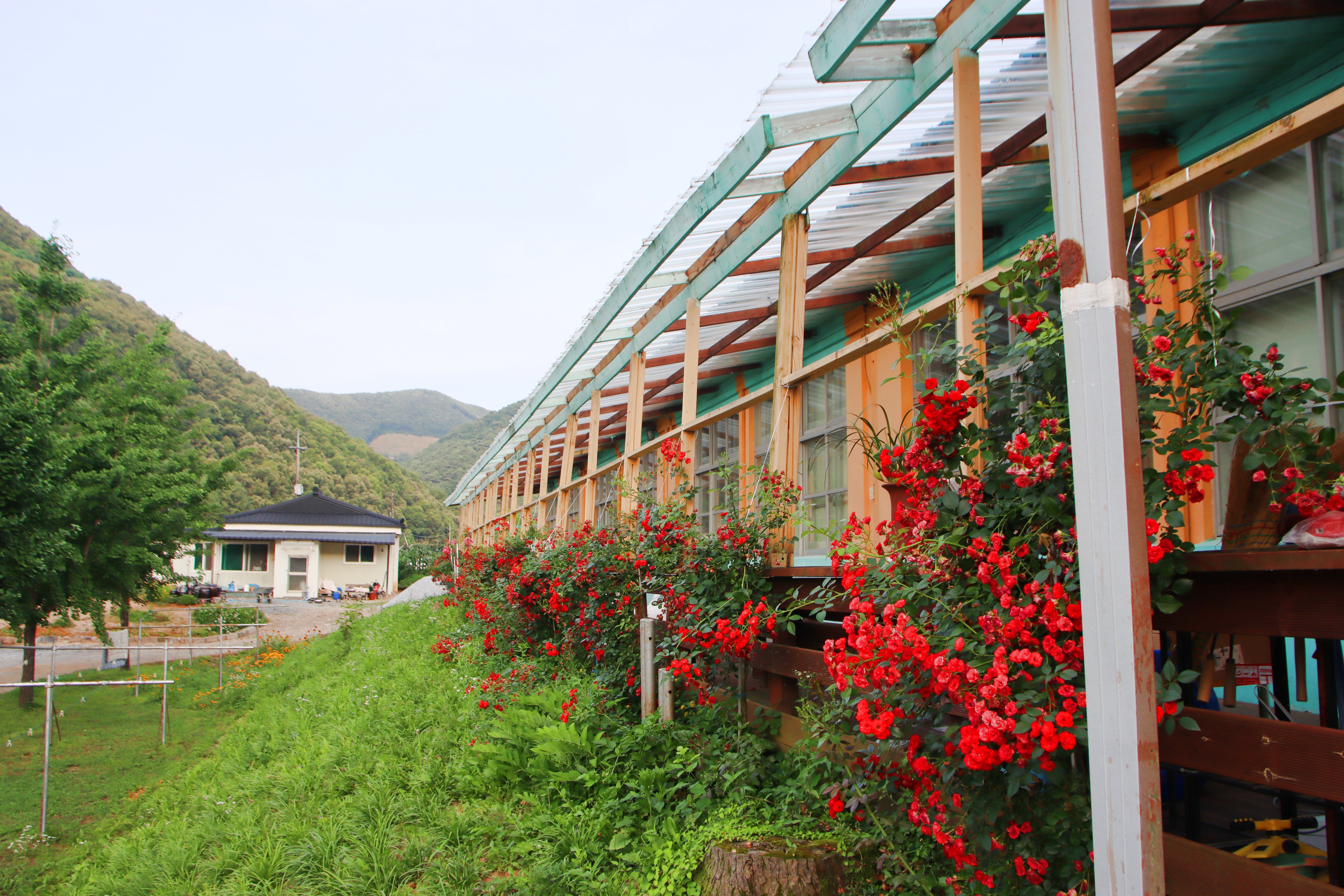 오손도손캠핑장 29번째 이미지