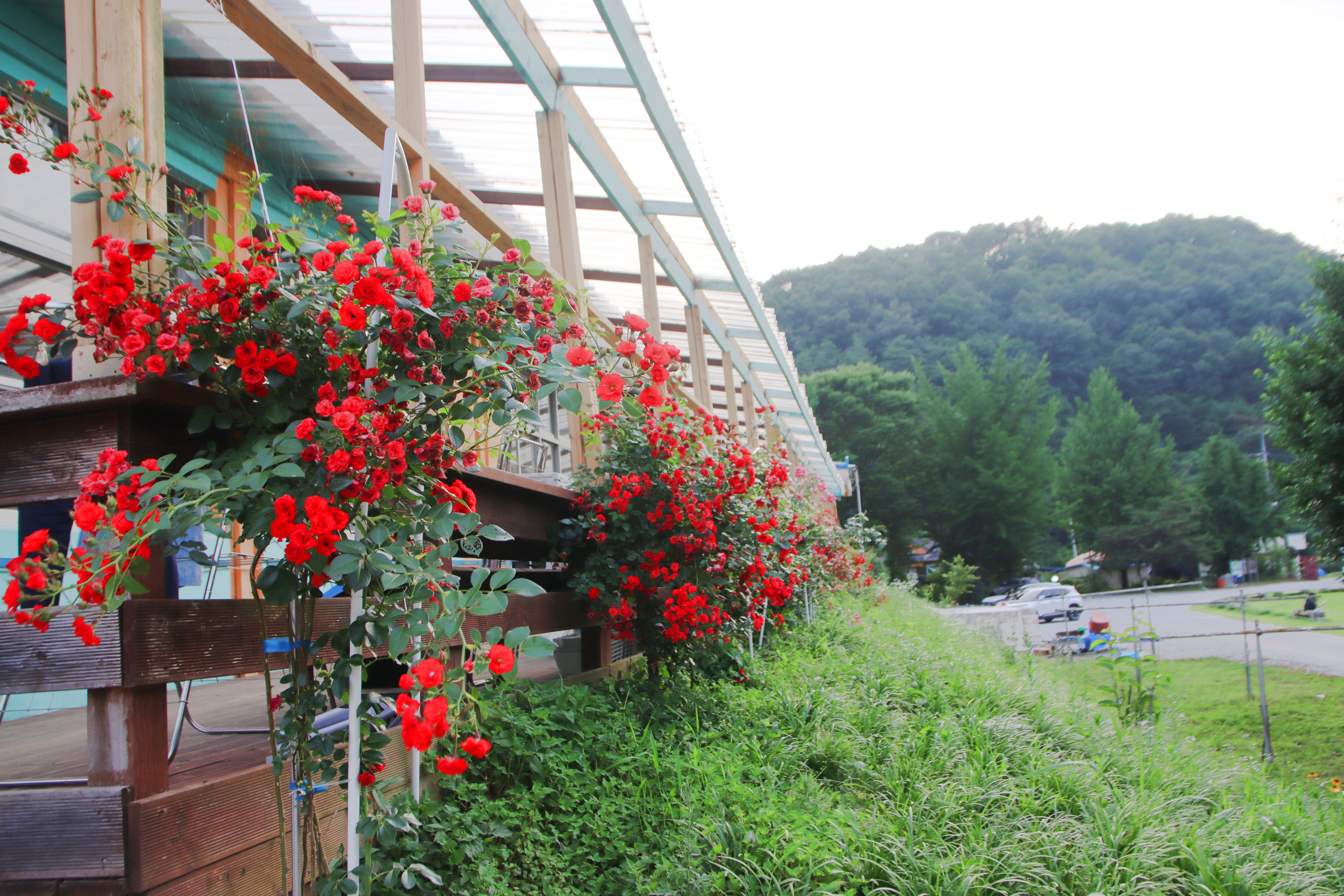 오손도손캠핑장 21번째 이미지