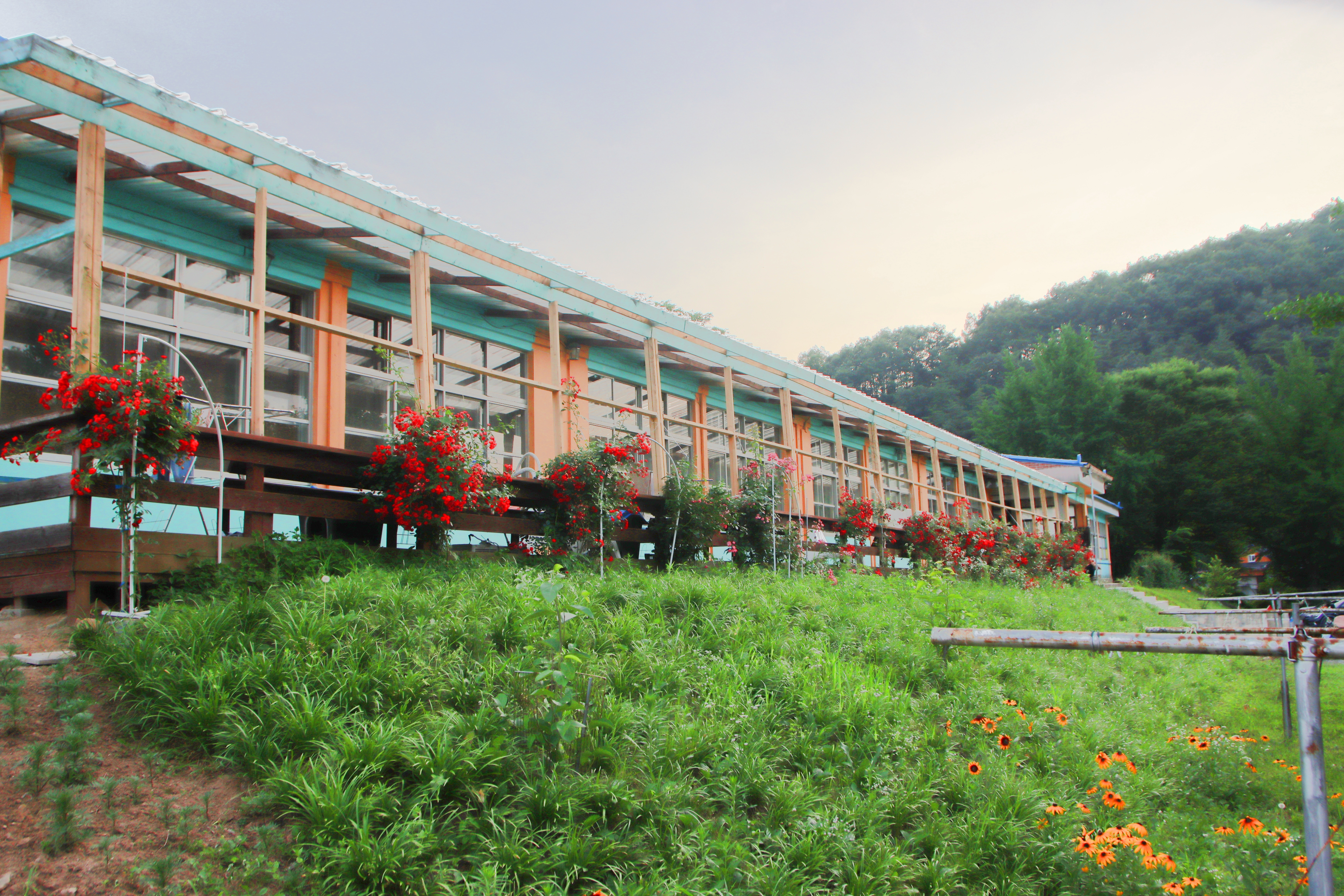 오손도손캠핑장 20번째 이미지