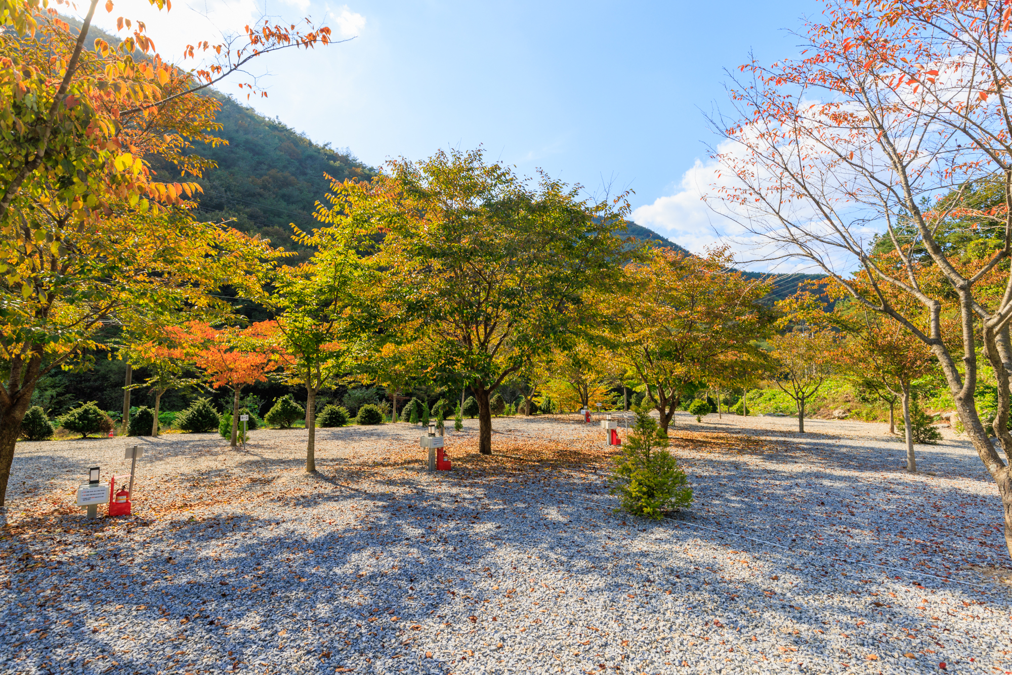 별하숲캠핑장 9번째 이미지