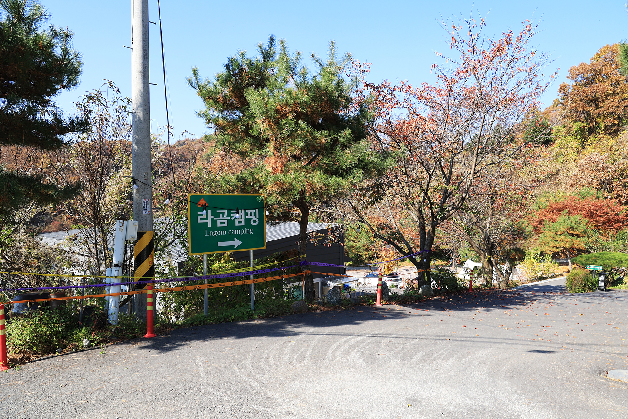 라곰 이미지