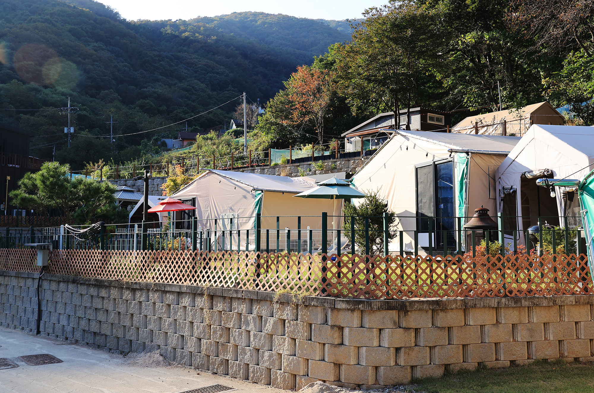 캠프위드펫&애견글램핑 이미지