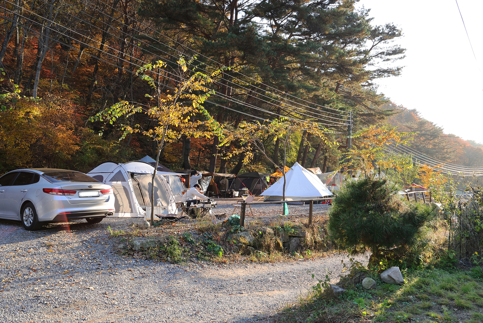 가보세캠핑장 이미지