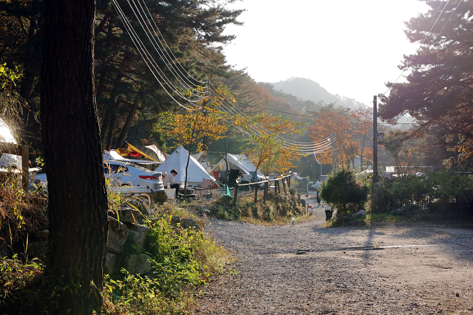 가보세캠핑장 이미지