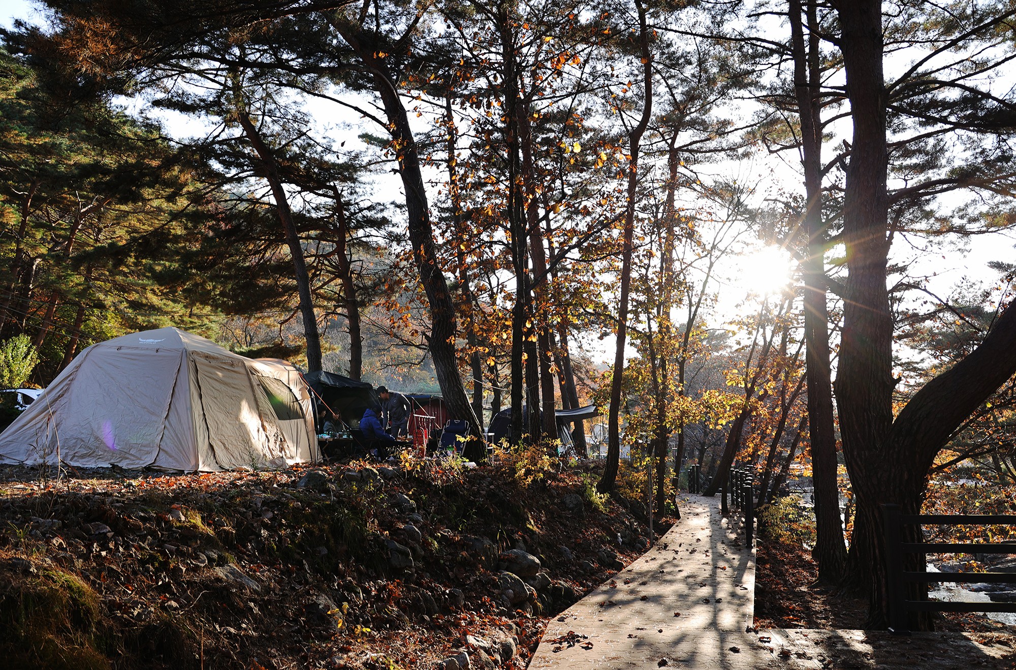 가보세캠핑장 이미지