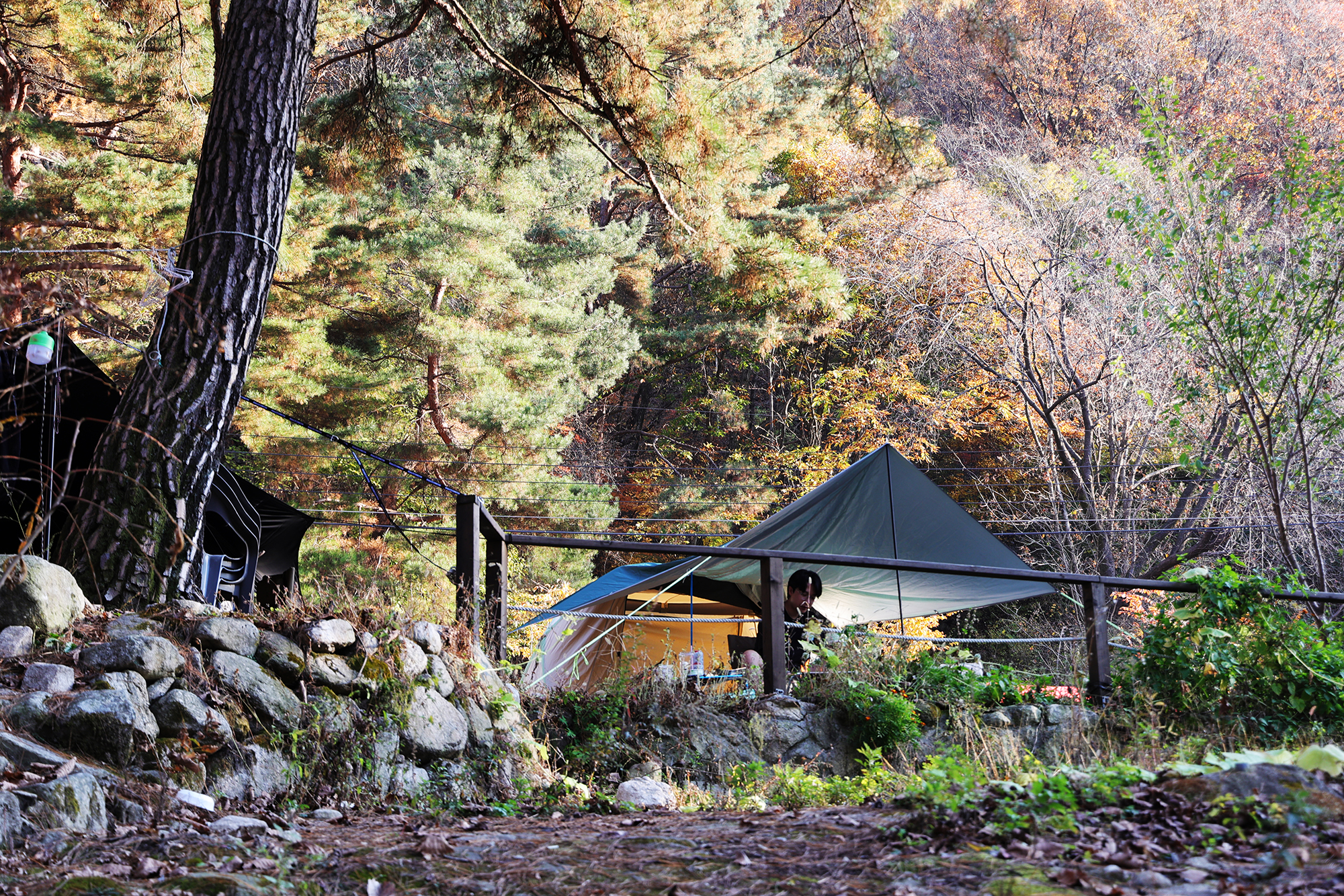 가보세캠핑장 이미지