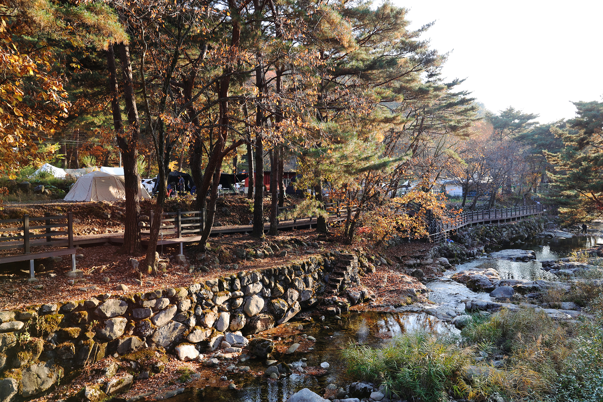 가보세캠핑장 이미지