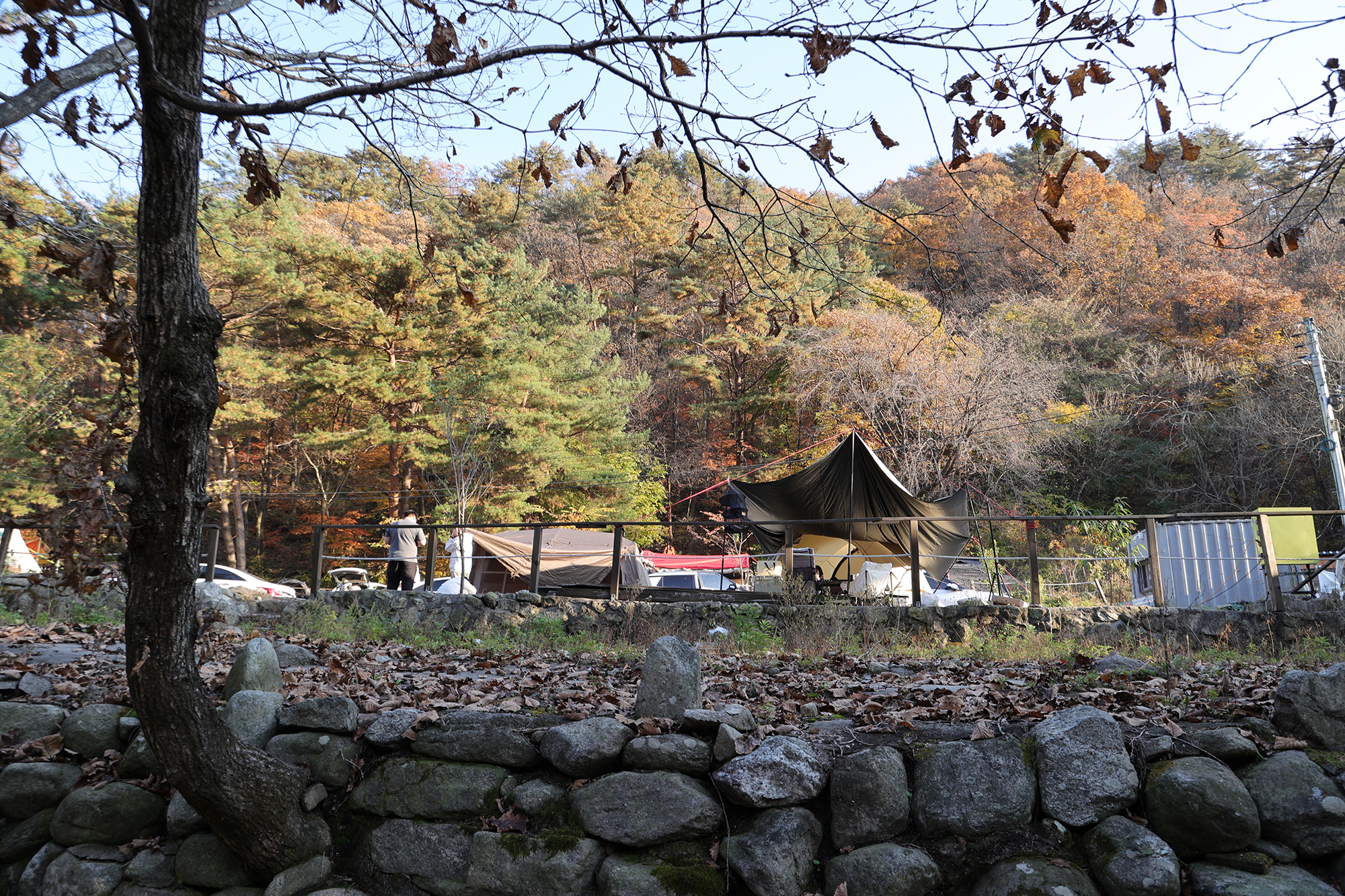 포천 가보세캠핑장 3