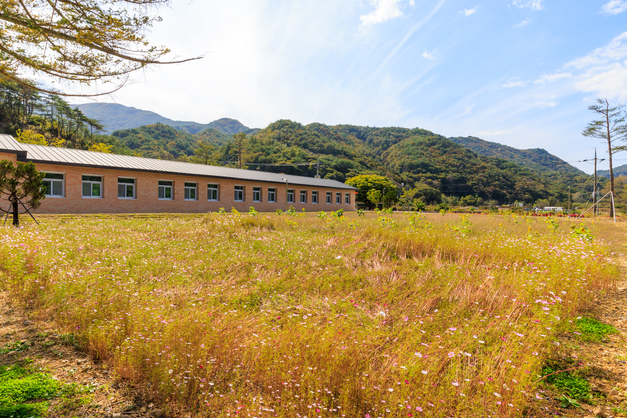 삼가농촌체험관 13번째 이미지