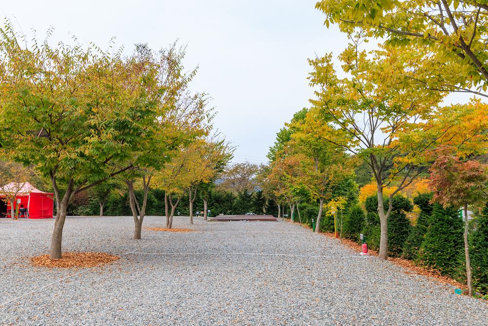 원탑캠핑장 13번째 이미지