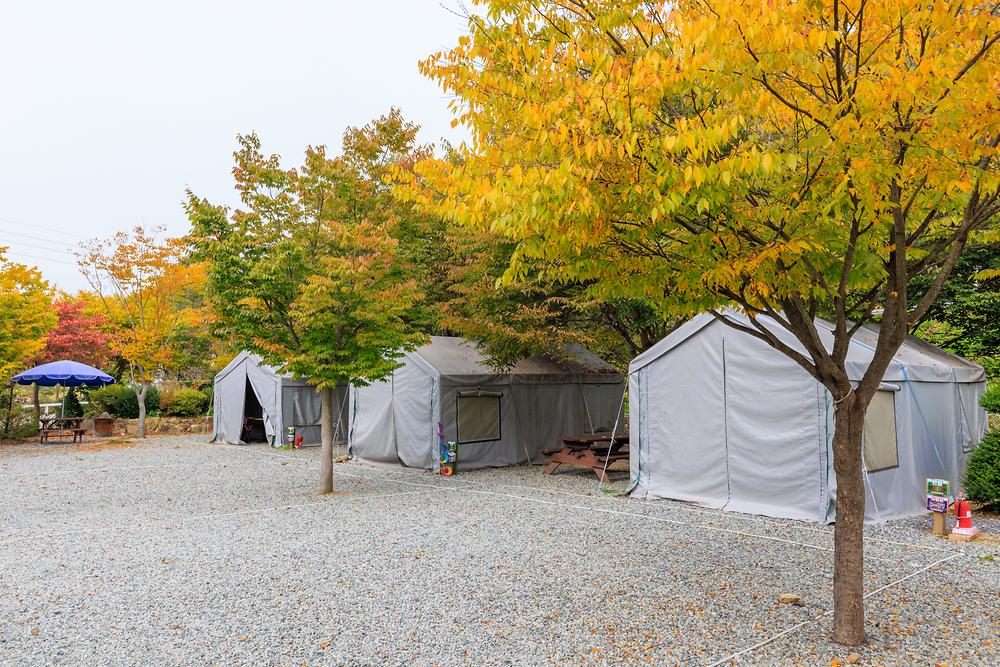 원탑캠핑장 11번째 이미지