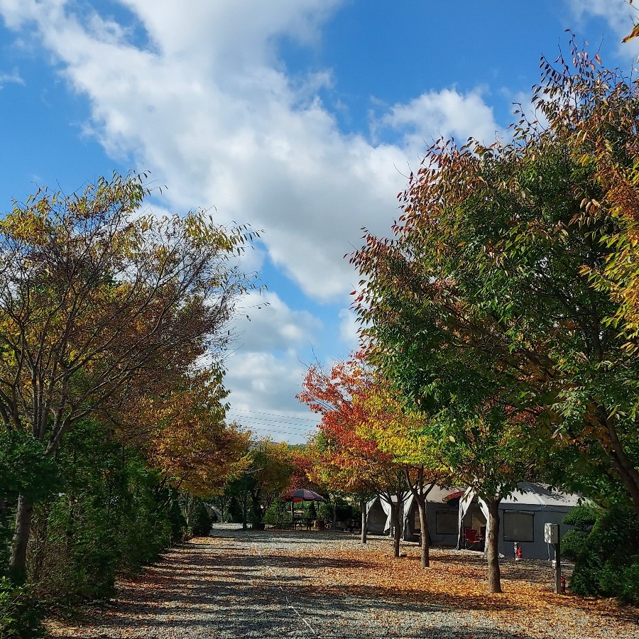 원탑캠핑장 19번째 이미지