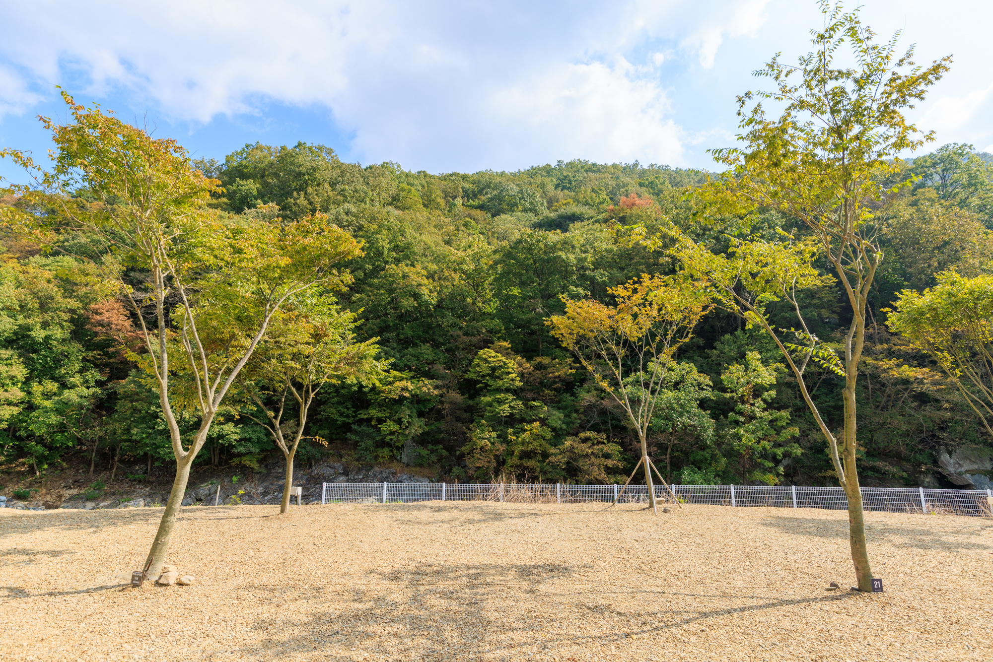 산내캠핑일기 8번째 이미지