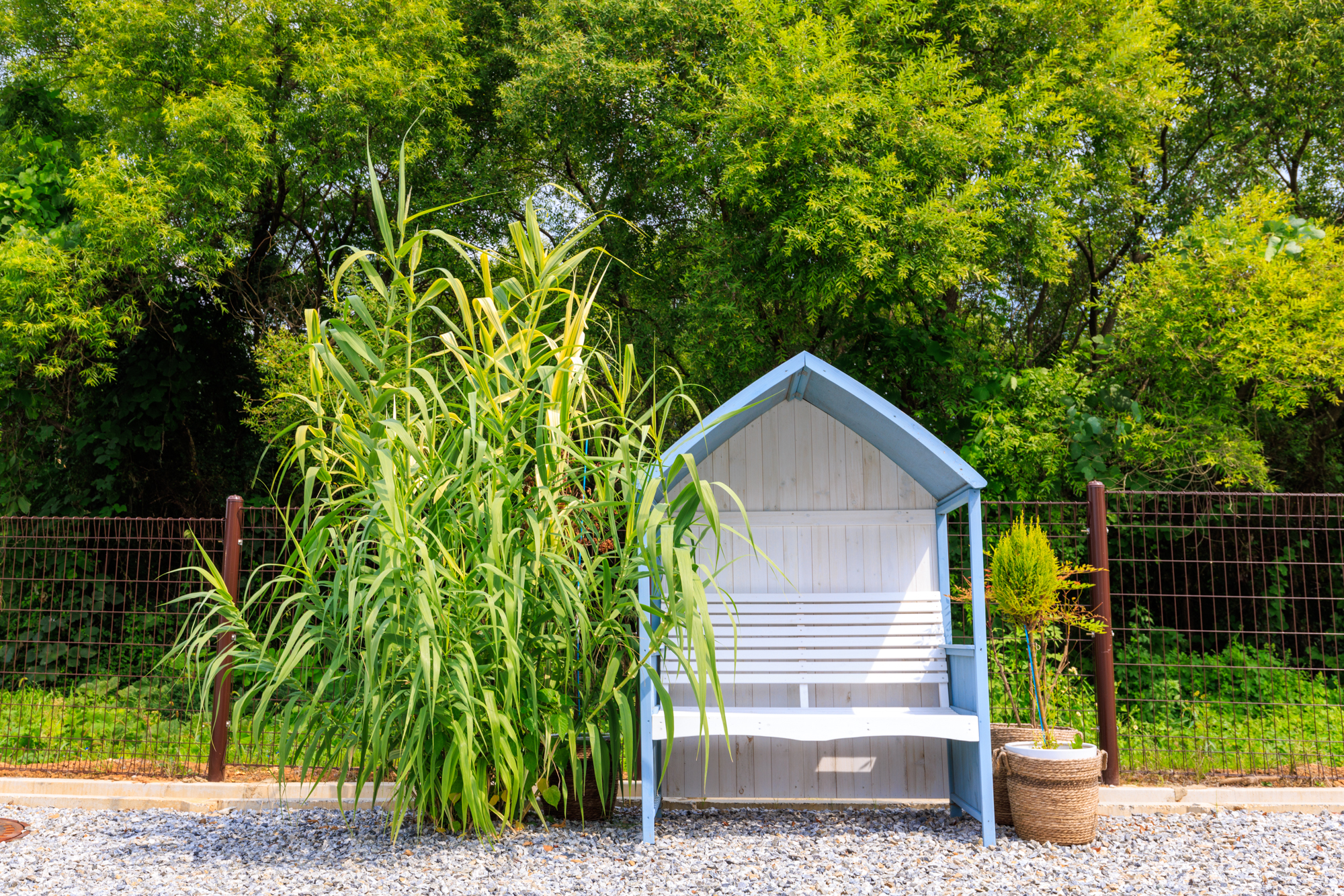 홍성 캠프인코지 글램핑 카라반 이미지