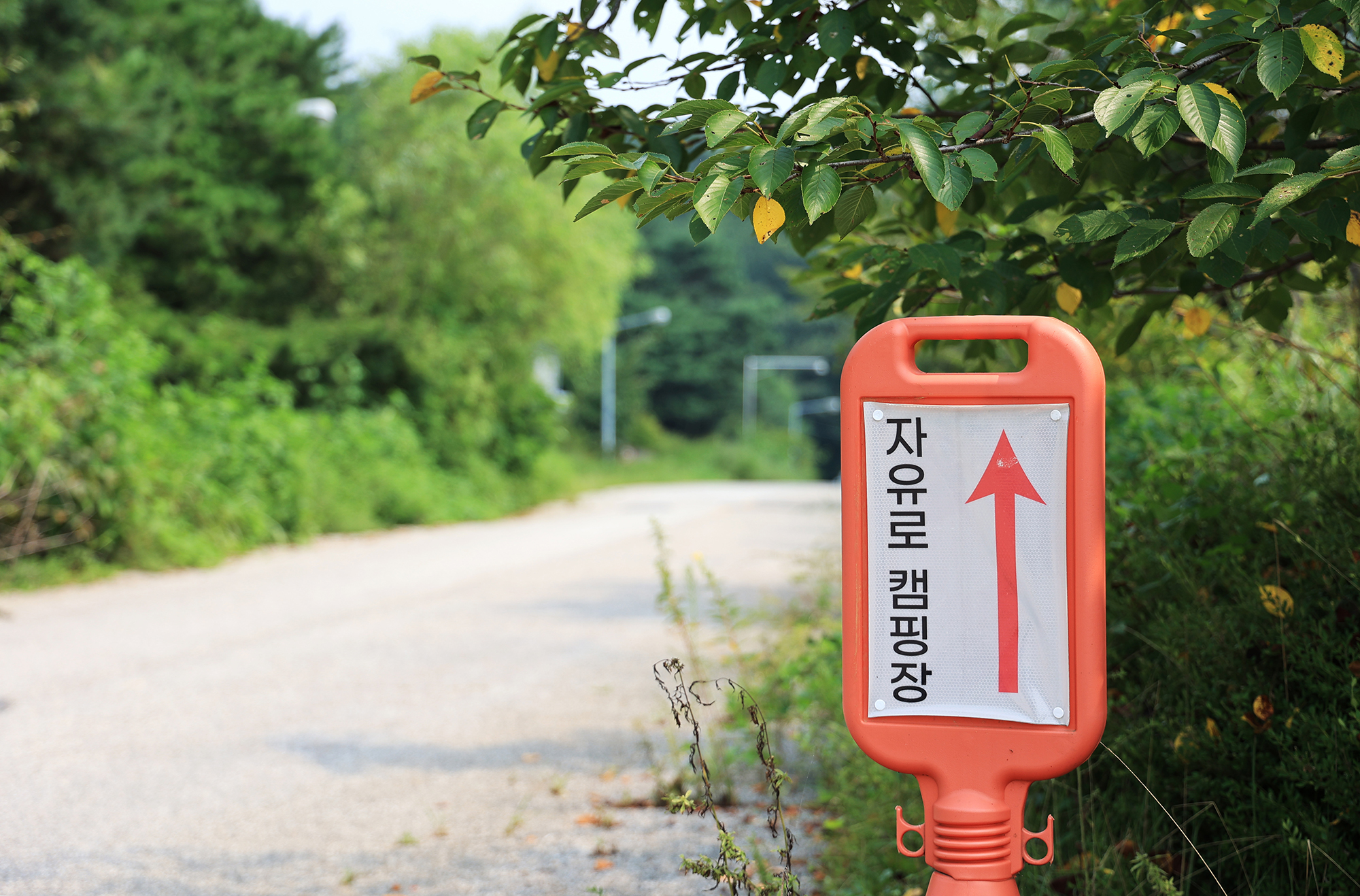 자유로캠핑장 이미지