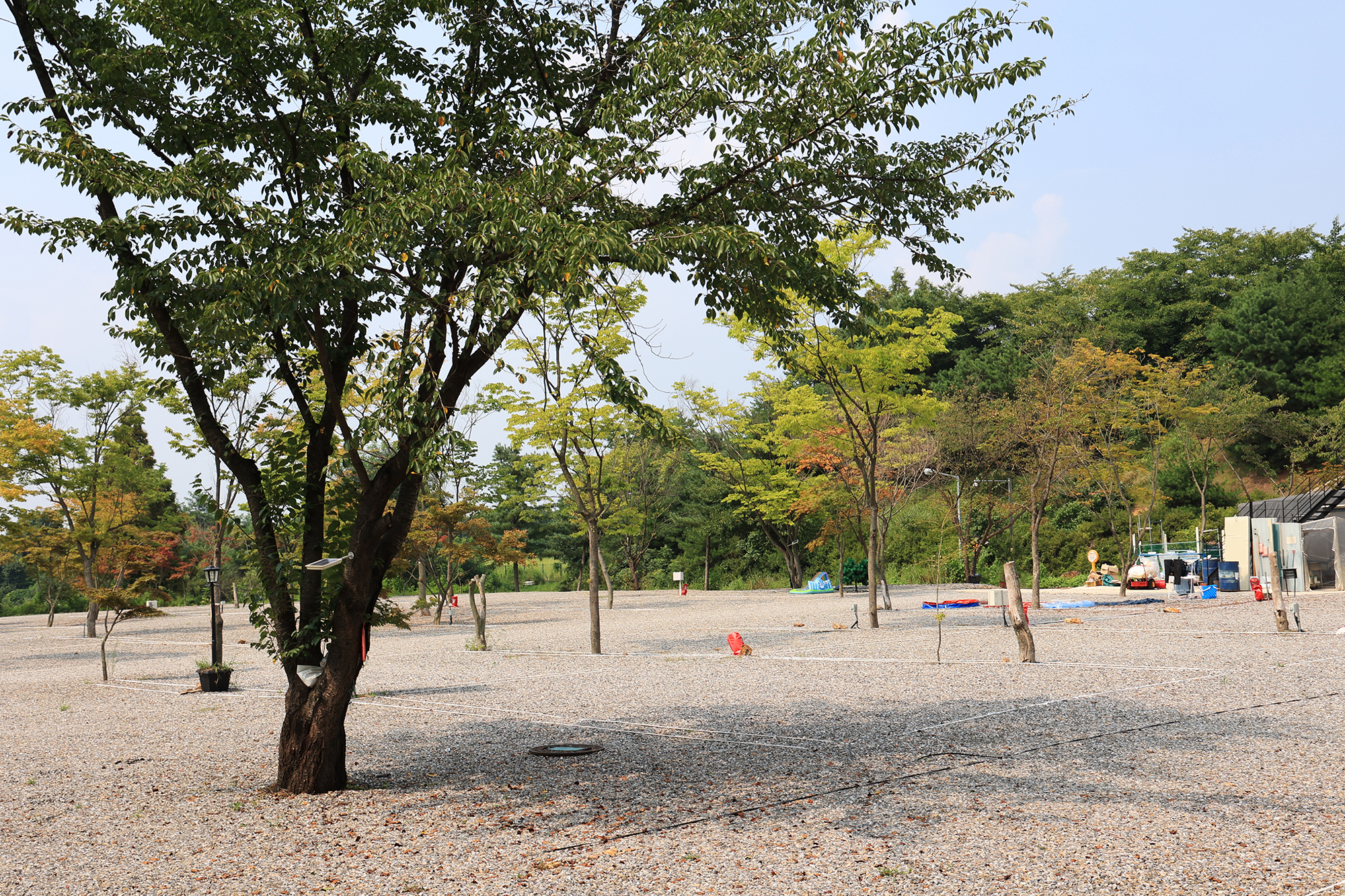 자유로캠핑장 이미지