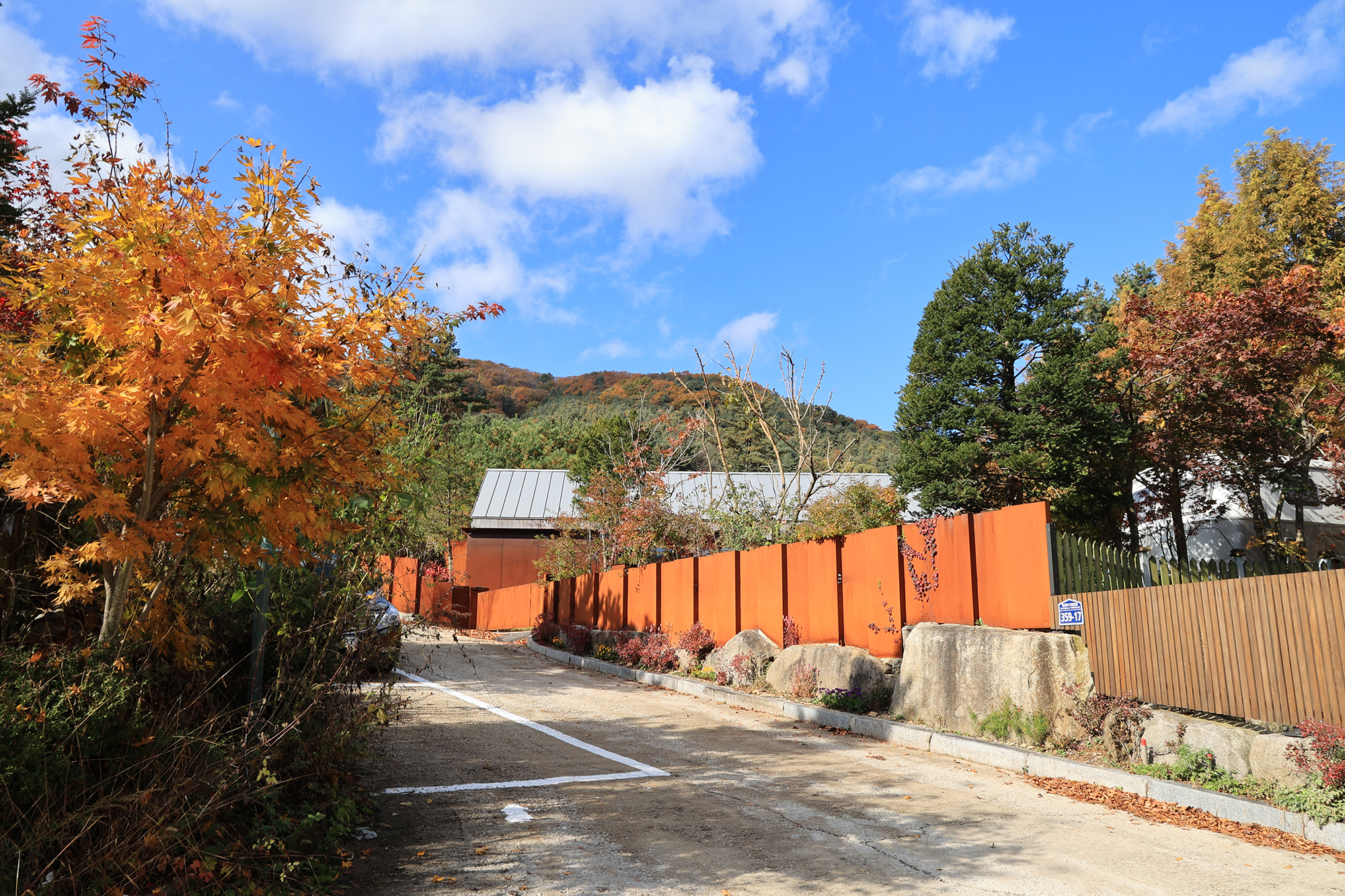 타이니포춘 이미지
