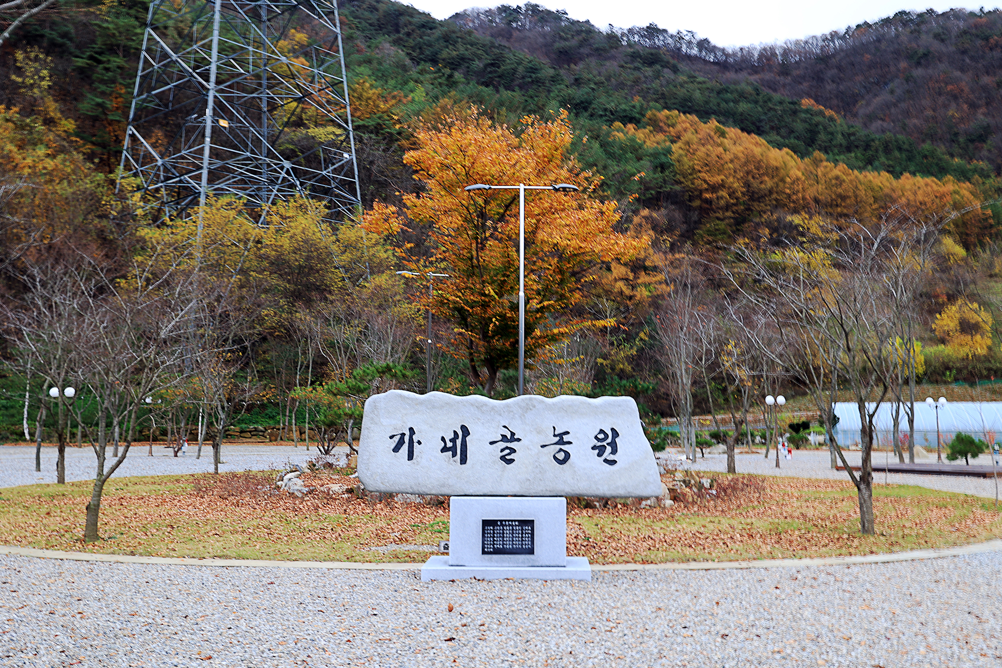 가네골농원 3번째 이미지