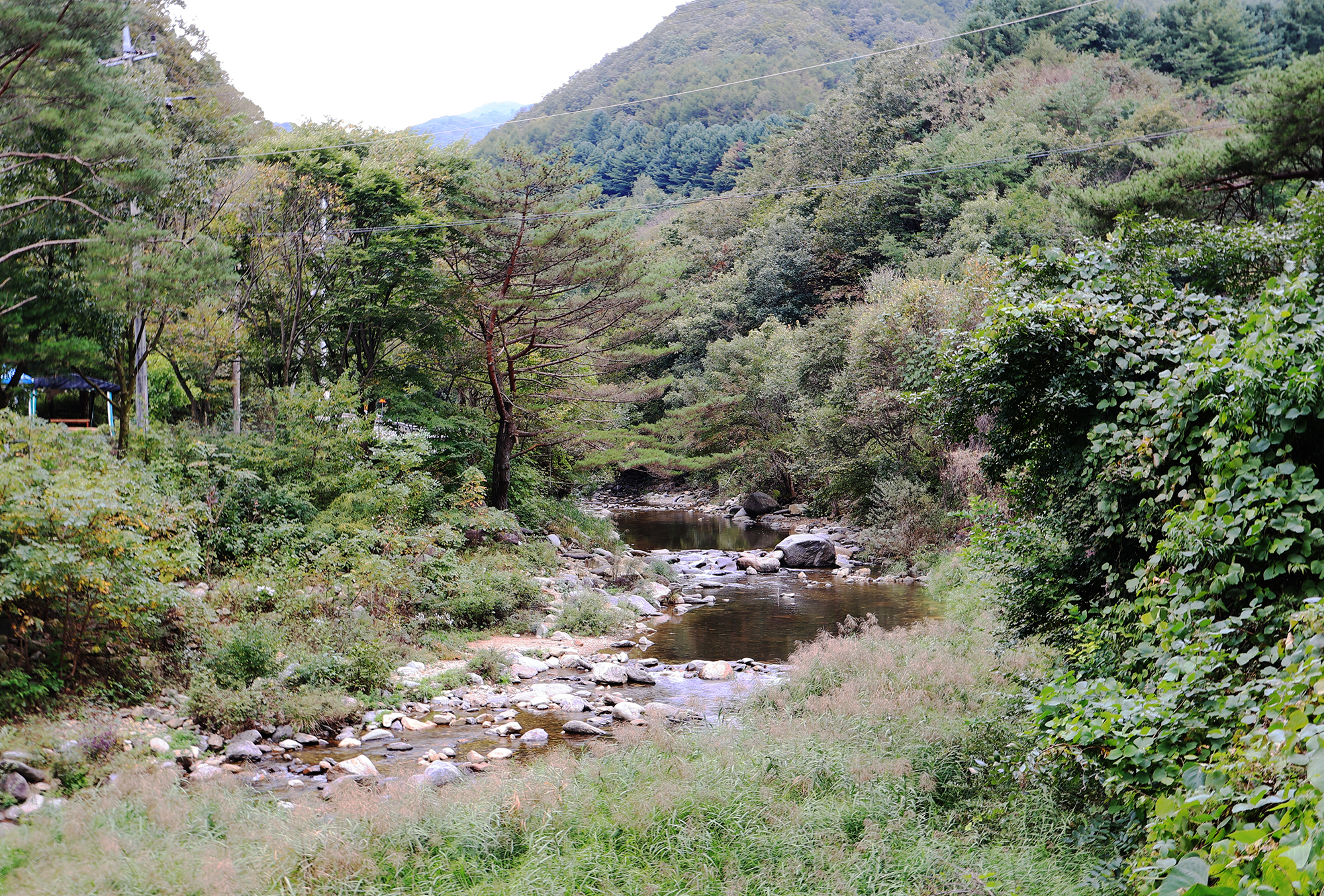 수복캠핑장 13번째 이미지