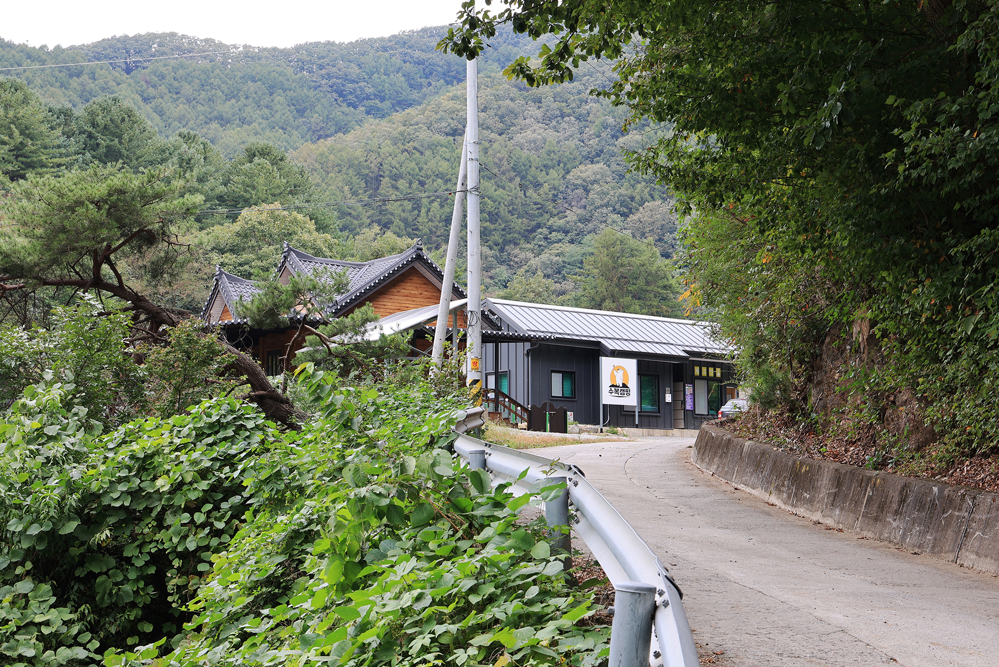 수복캠핑장 8번째 이미지