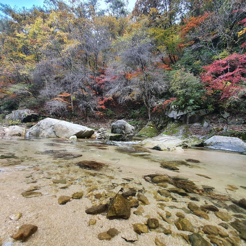 알프스밸리 캠핑나라