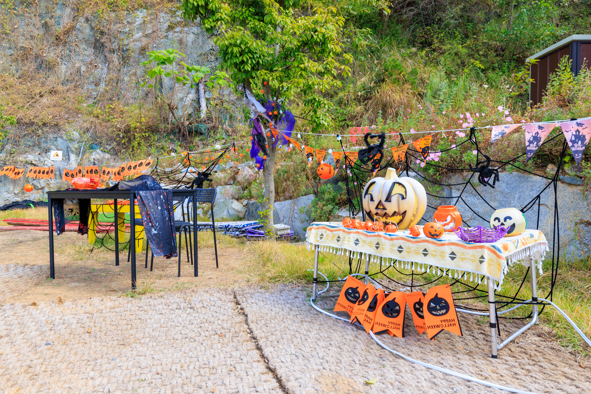 호수도도글램핑장 이미지