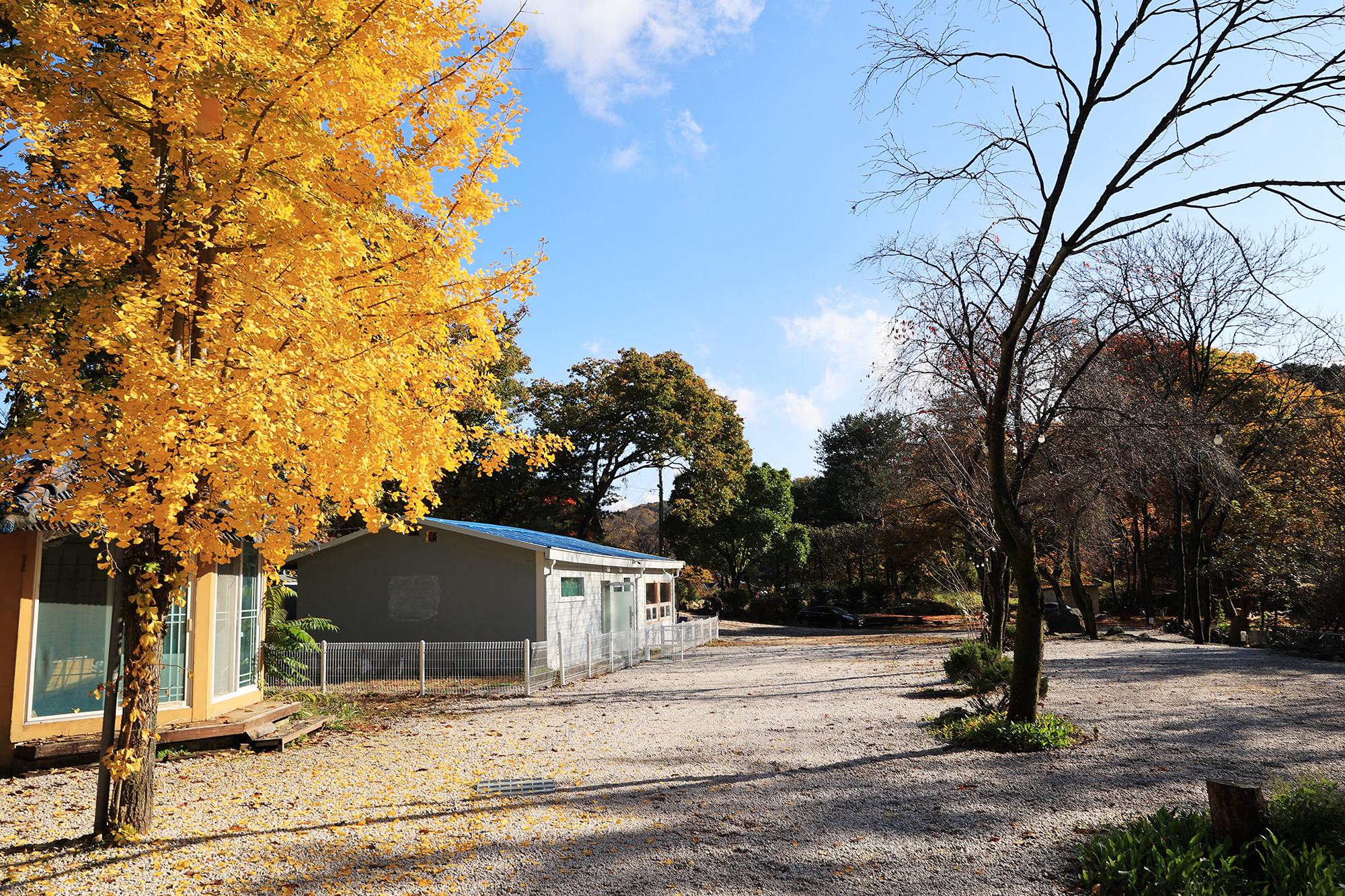 딥포레스트캠핑장 이미지