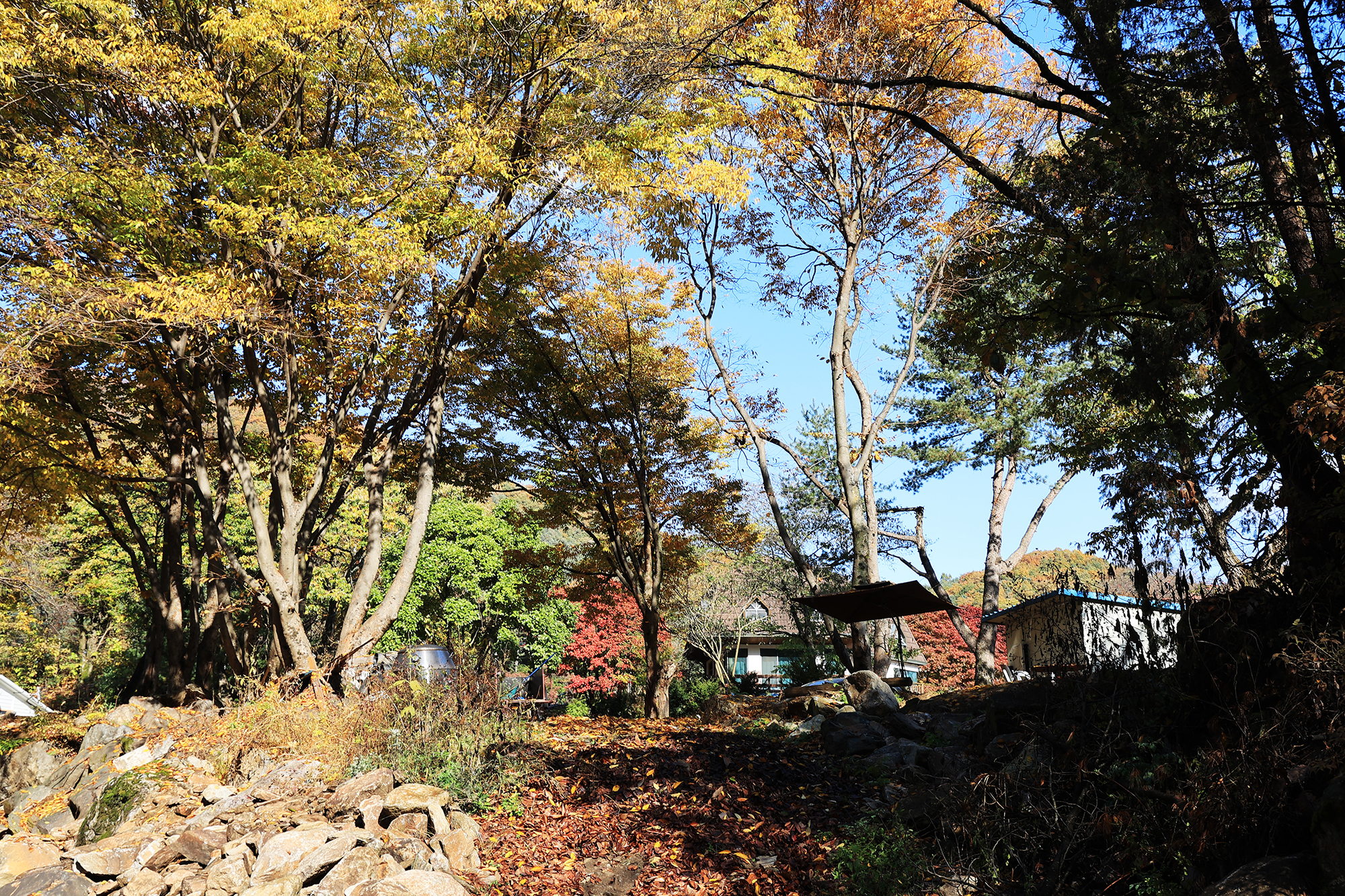 딥포레스트캠핑장 이미지