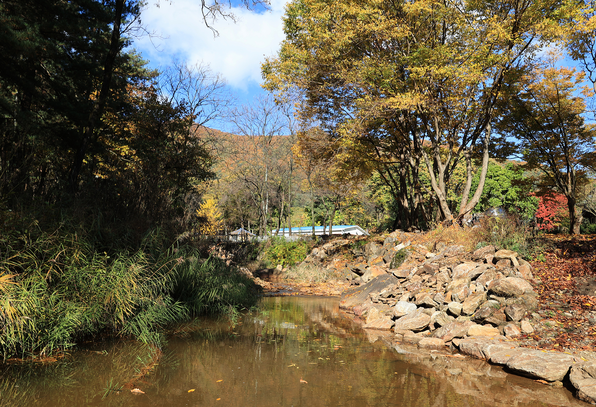 딥포레스트캠핑장 이미지