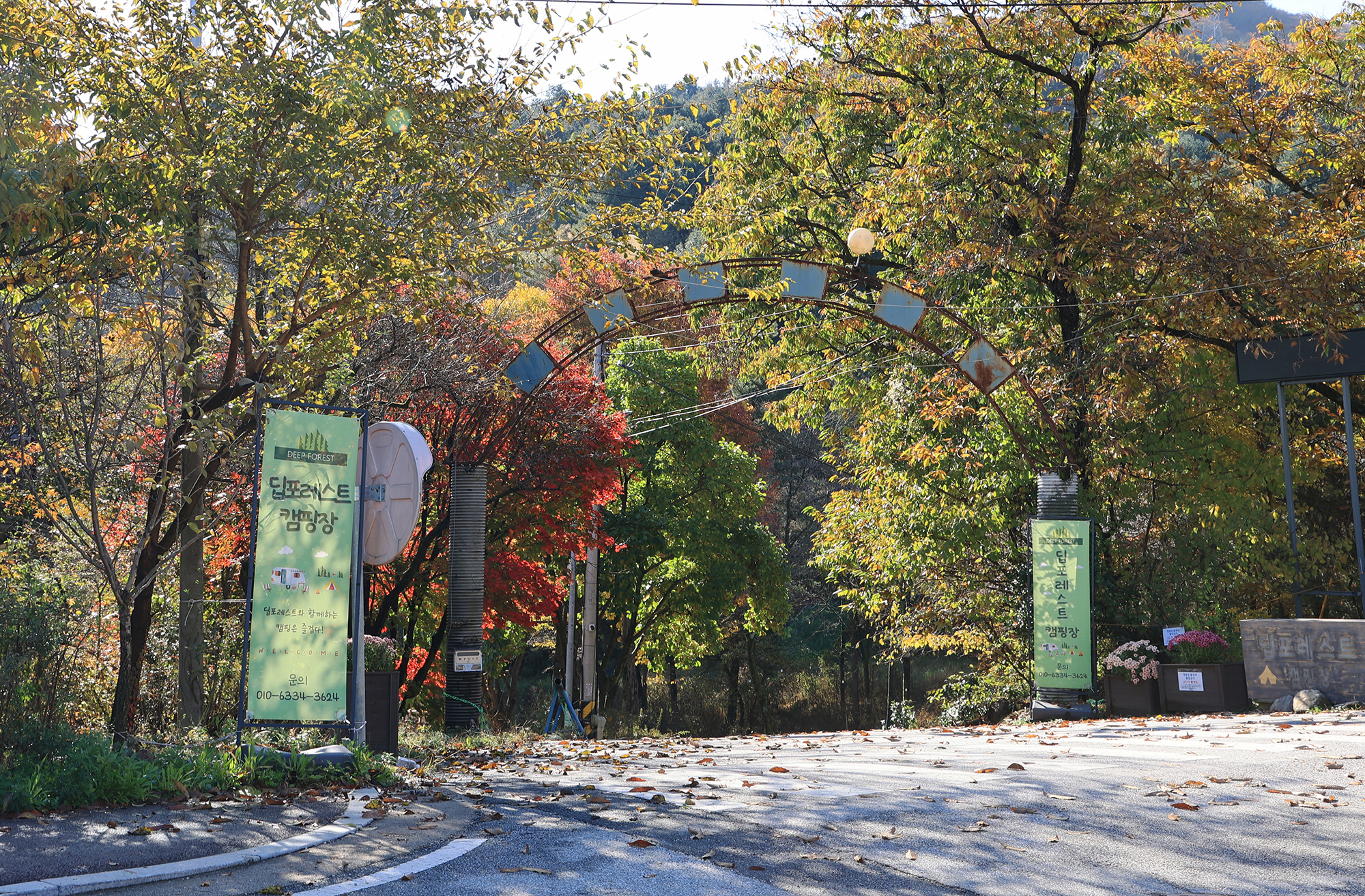 딥포레스트캠핑장 이미지
