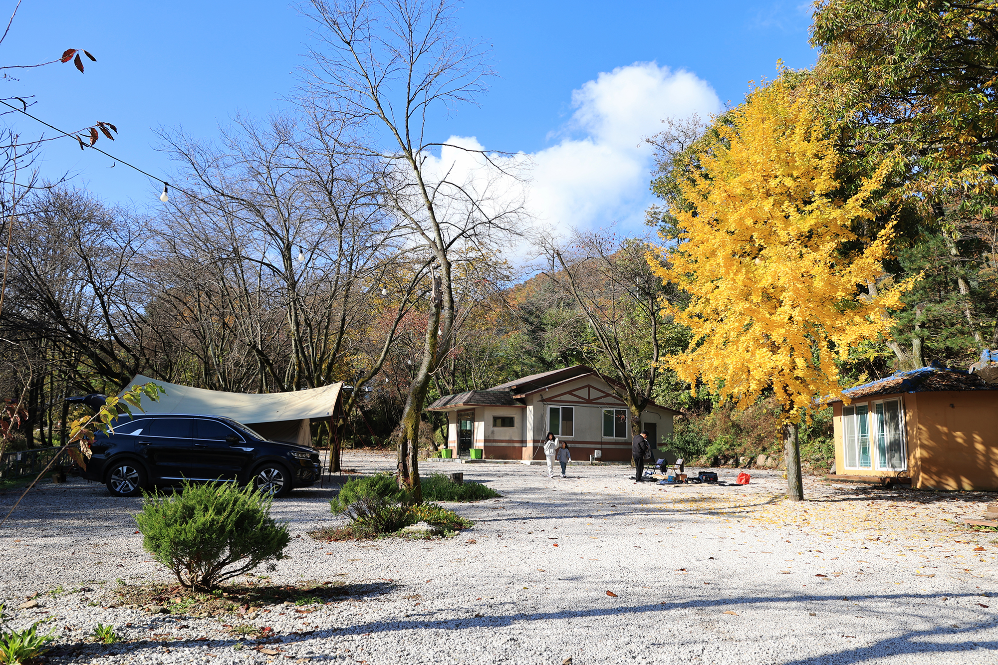 딥포레스트캠핑장 이미지