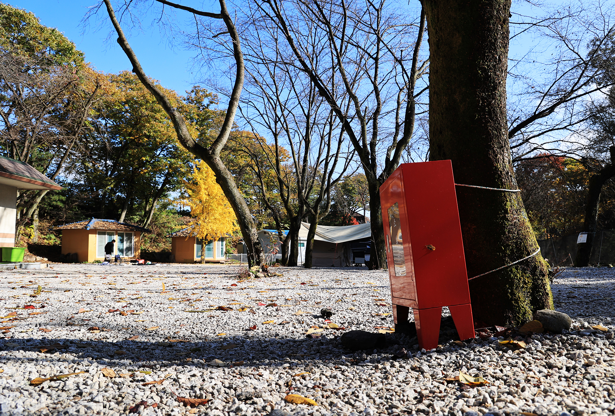 딥포레스트캠핑장 이미지