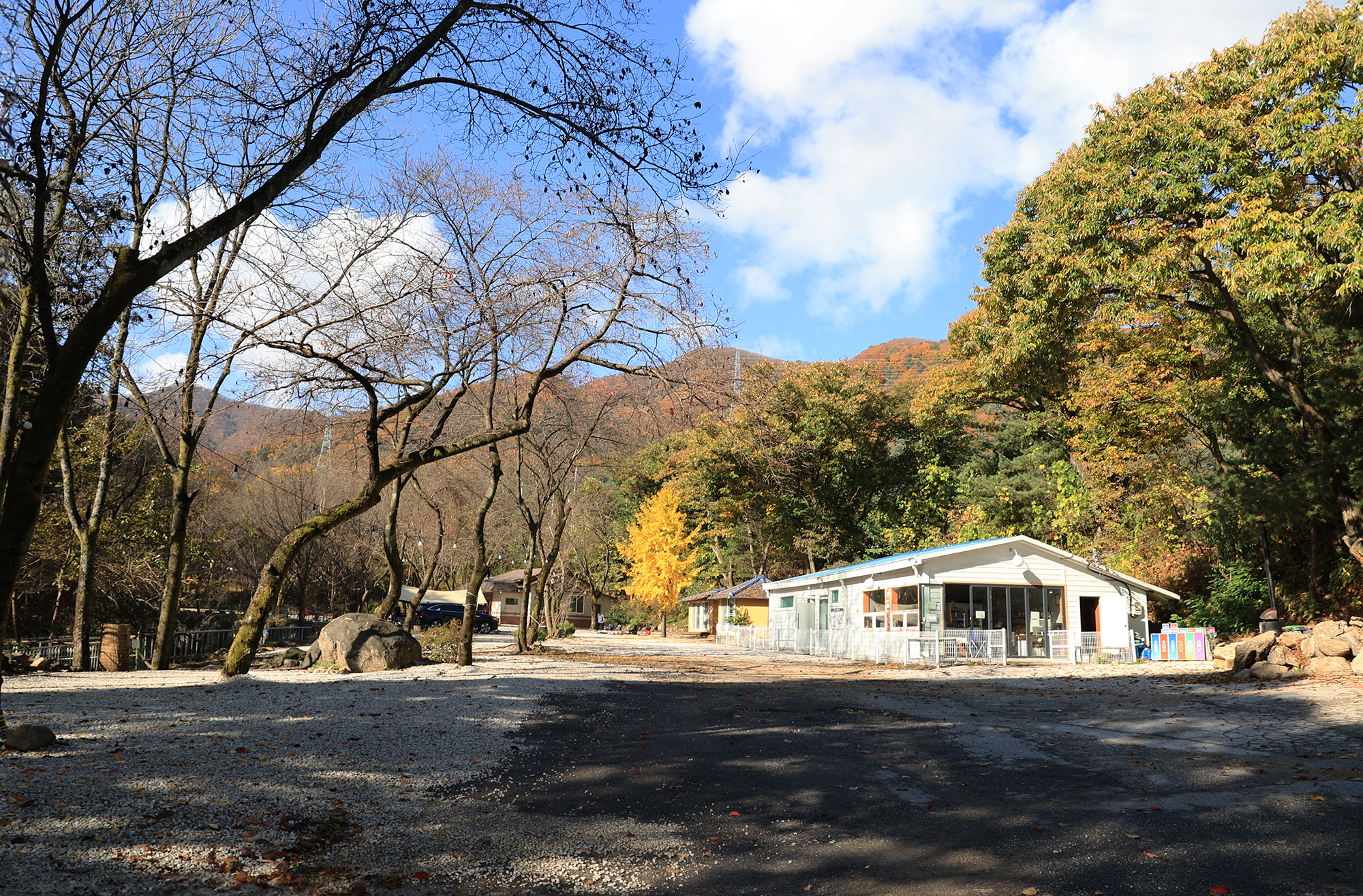 딥포레스트캠핑장 이미지