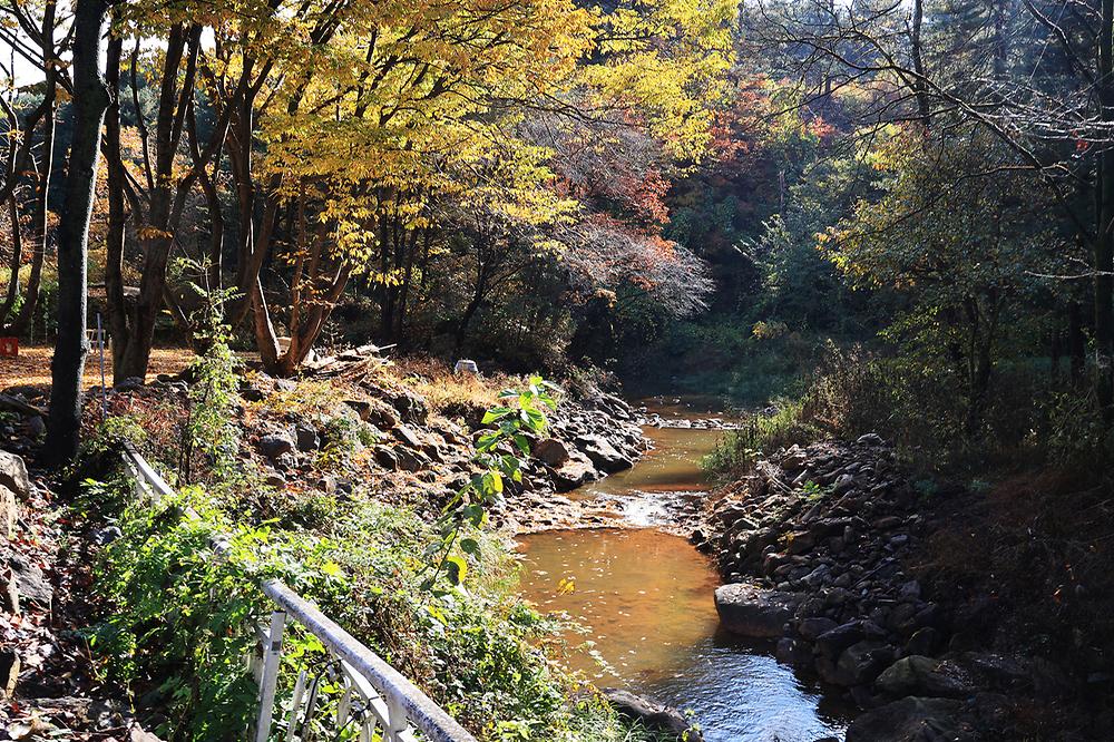 딥포레스트캠핑장