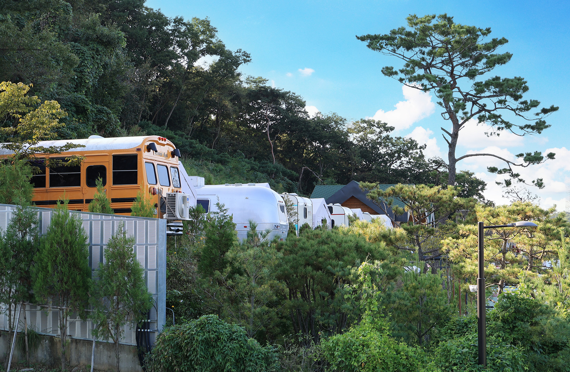 물왕호수캠핑 이미지